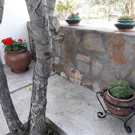 Nikiforos House Διαμέρισμα Άγιος Νικόλαος Εξωτερικό φωτογραφία